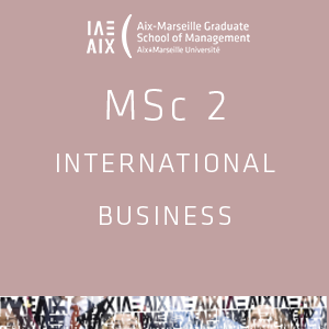 MSc 2 International Business